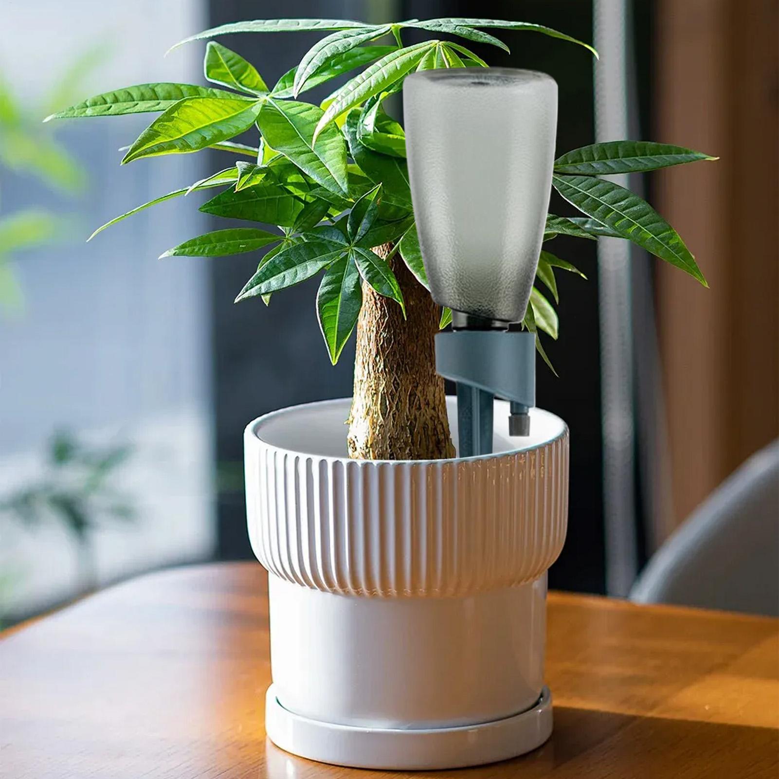 6-delige automatische watergev - Self Watering Insert recensie en prijs