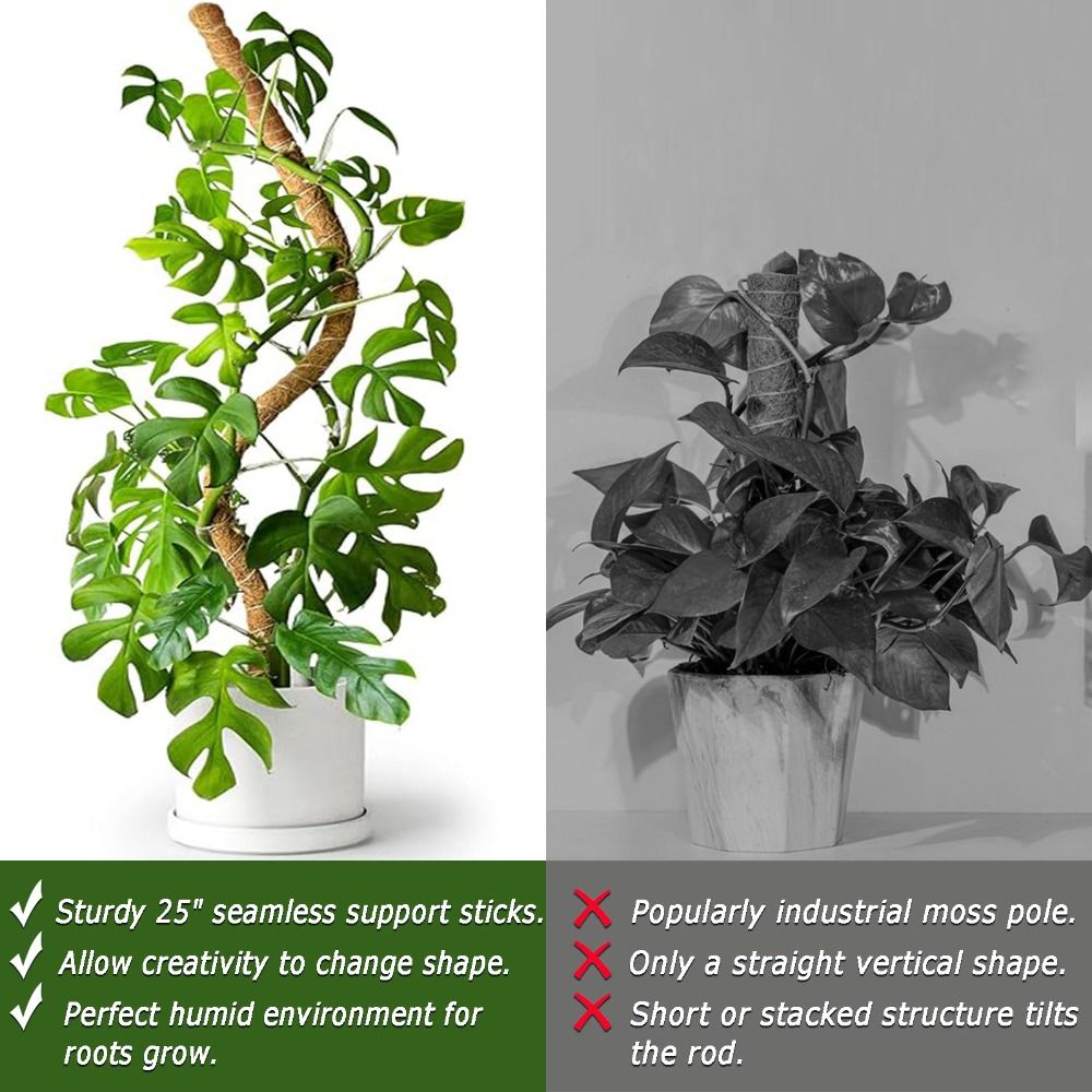 Plantensteun Buigbare Mosstok  - Sphagnum Moss Dry recensie en prijs