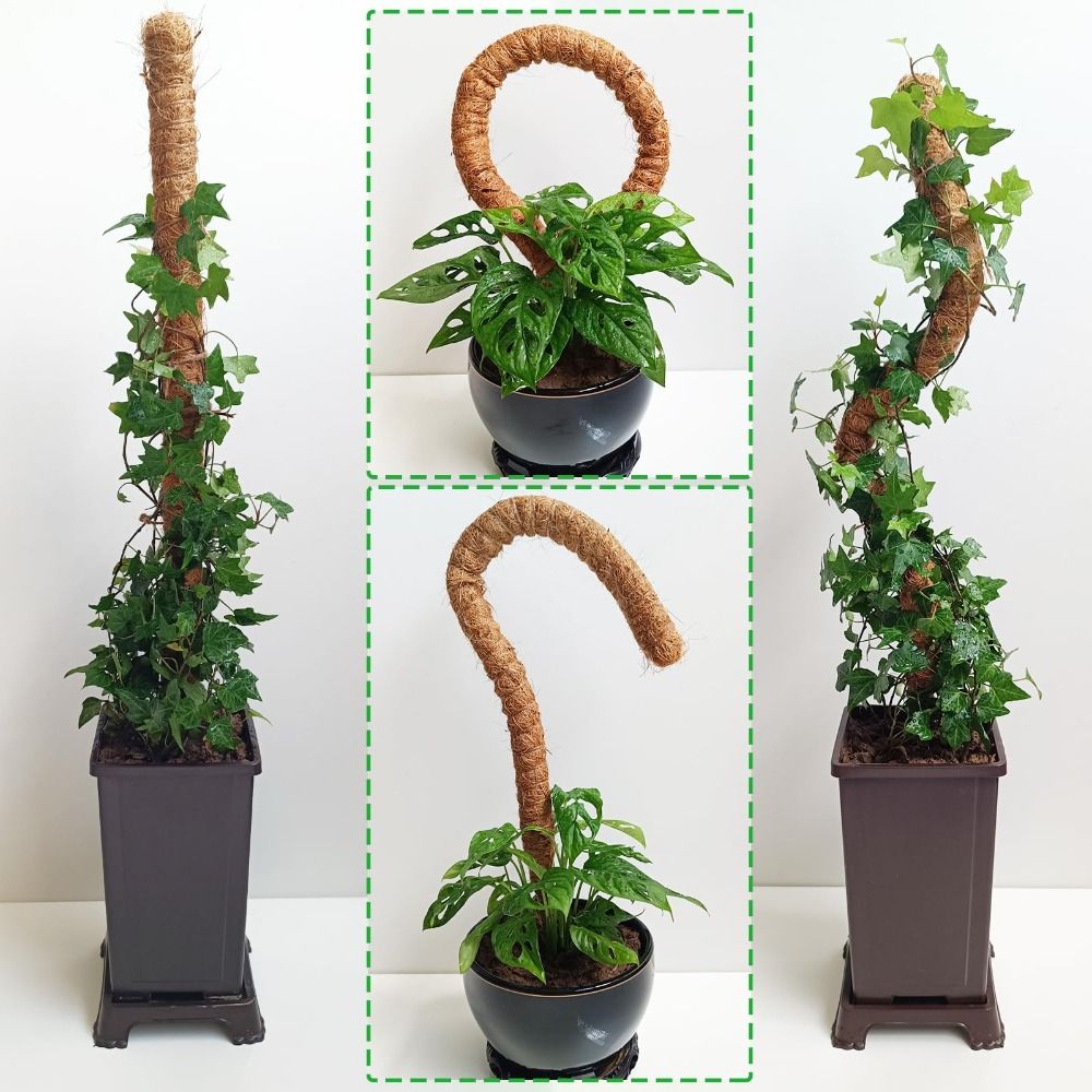 Plantensteun Buigbare Mosstok  - Sphagnum Moss Dry recensie en prijs
