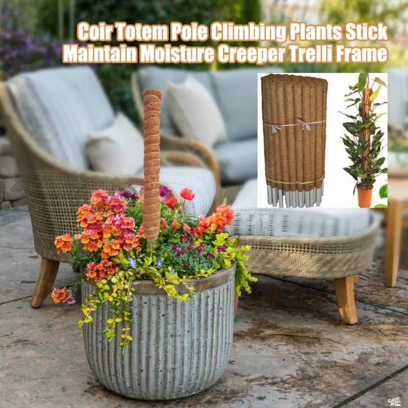 30/40/50 Cm Plant Klimmen Koko - Sphagnum Moss Dry recensie en prijs