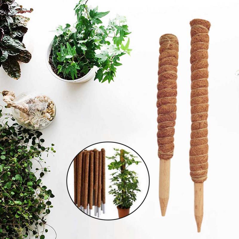 30/40/50 Cm Plant Klimmen Koko - Sphagnum Moss Dry recensie en prijs