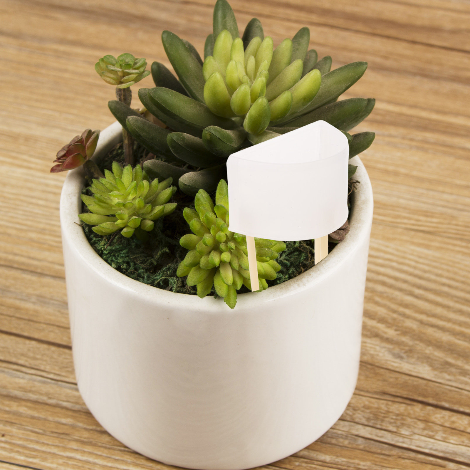 Automatische mosstok-besproeii - Self Watering Insert recensie en prijs