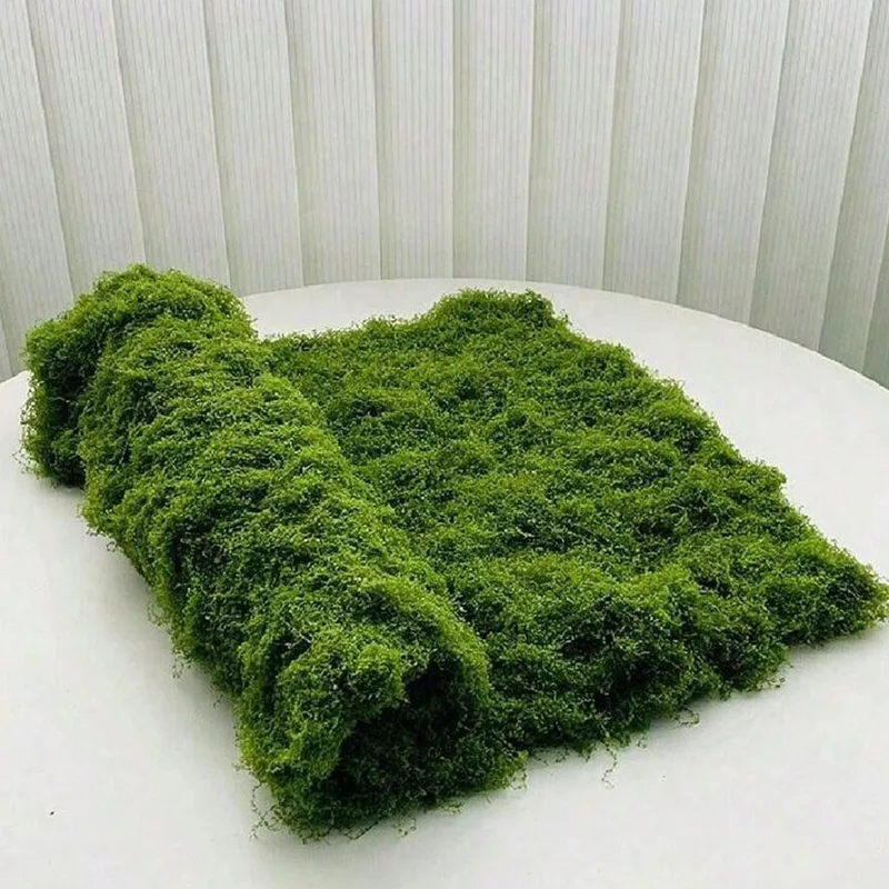Kunstmos voor micro-landschaps - Sphagnum Moss Dry recensie en prijs